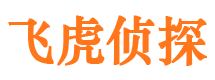 界首市婚姻出轨调查